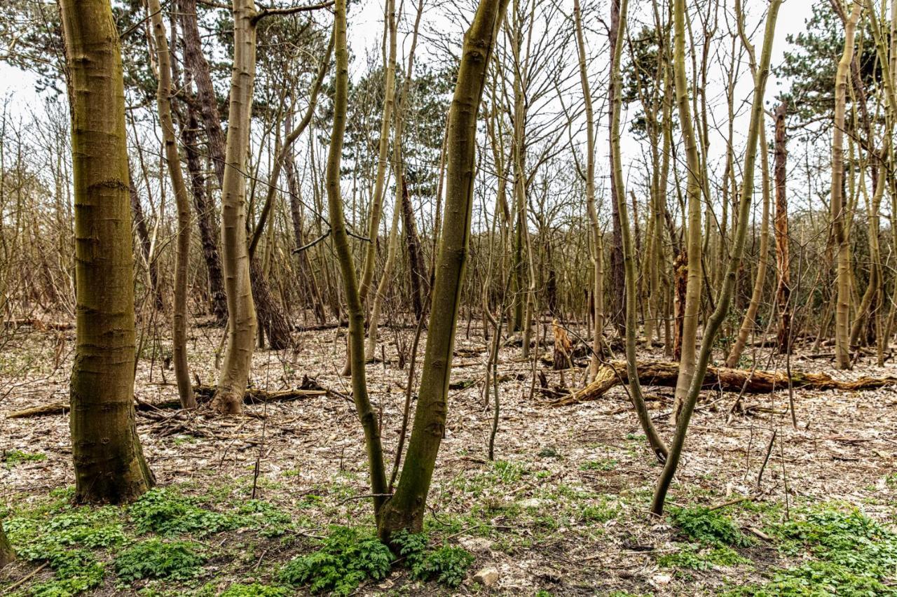 Vila Hof Aan Zee Dishoek Exteriér fotografie